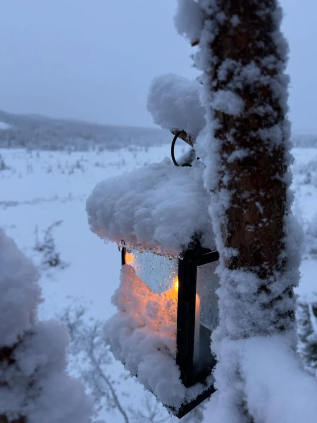 Bjørkhytta i dag 6.desember, og skogen er vakkert dekket av snø ❄️ Velkommen ❤️#snø#snow#winter#vinter #tretopphytter #ringsaker#prøysenland #winterwonderland